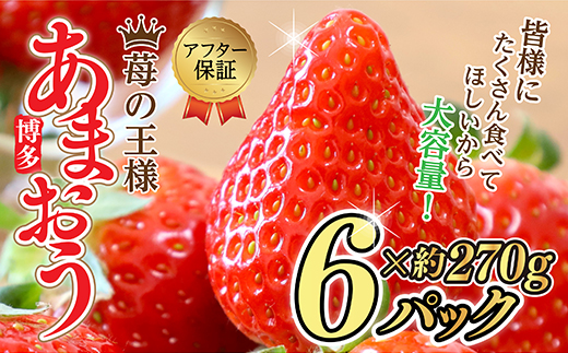 【福岡県産あまおう】 テレビ 「 ヒルナンデス 」 で紹介されました！ 訳あり グランデ　約２７０ｇ×６Ｐ 3W13