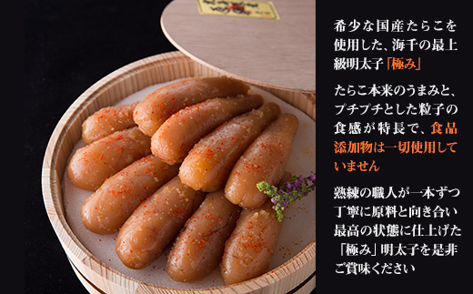 縲碁」溷刀豺サ蜉迚ゥ荳堺スソ逕ィ縲肴・オ縺ソ辟。逹濶イ譏主、ェ蟄 讙懈ィス蜈・繧(300gテ2) 2W20