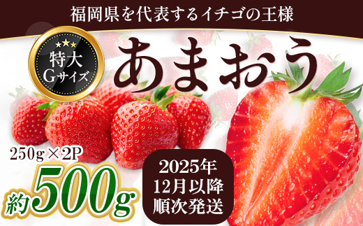 福岡県産 あまおう 約500g前後（約250g×2）12月以降発送 3KC4