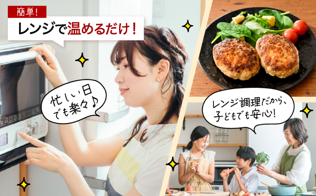 赤村養生館 特製手ごねハンバーグ 20個 B9