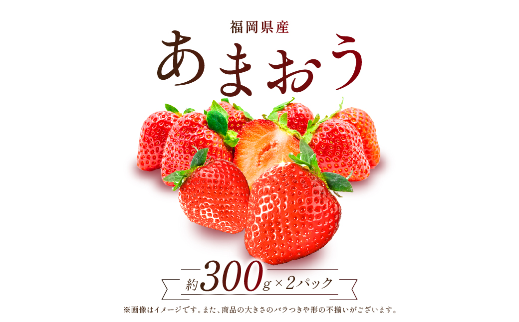 【赤村限定】福岡県ブランドいちご“あまおう”農家直送【300g×2パック】 2Z6