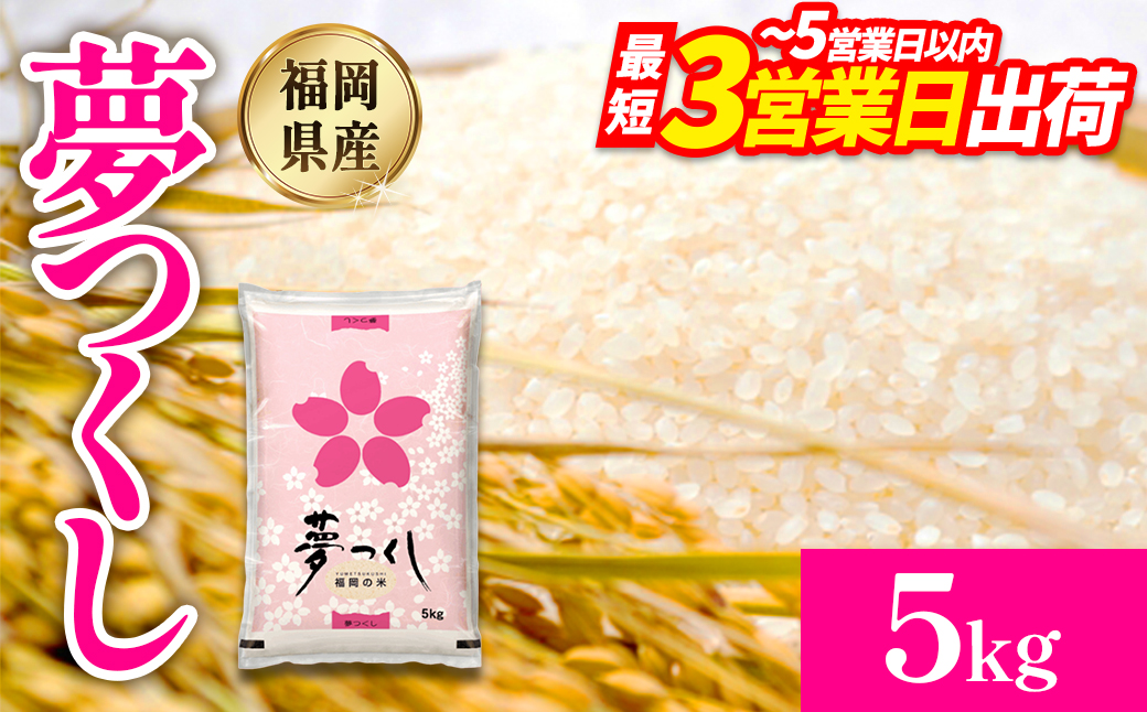 【数量限定】夢つくし(精米) 福岡県産ブランド米 5kg  (品番:3X10)