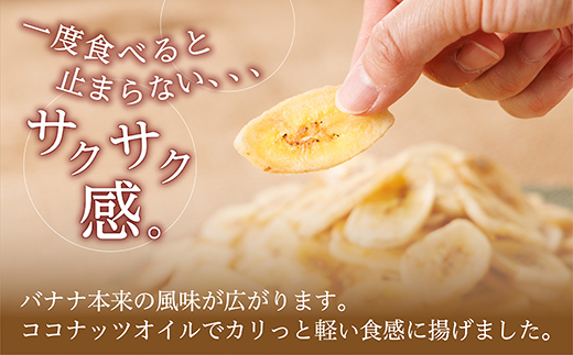 厳選ドライフルーツセット バナナチップス（600g）ドライいちじく(350ｇ) ドライフルーツ イチジク ソフト 肉厚 なのにやわらかい フィグ バナナ 乾燥バナナ チップス 健康 おつまみ おやつ 4V5
