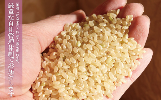 無洗米 福岡県産・夢つくし10kg定期便(隔月・年6回)