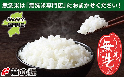 無洗米 福岡県産・夢つくし10kg定期便(毎月・年12回)