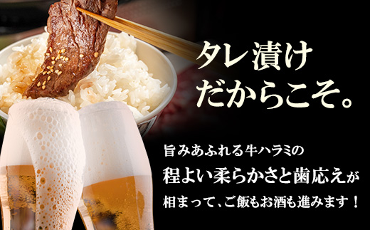 【父の日ギフト】訳あり 牛ハラミ肉(旨辛、ねぎ塩) 1.2kg