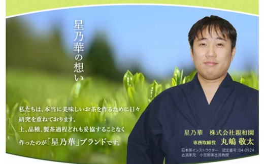 八女星野産【訳あり】 和紅茶2g×100個