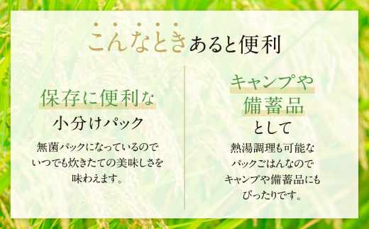 無菌包装米飯　福岡県産 夢つくし24パック定期便(隔月・年6回)