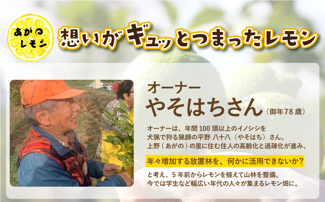 厚切り 牛タンステーキ 塩レモン（900g） あがのレモン付き