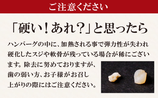 【シリーズ累計300万個突破！】 Best4ハンバーグ お試しセット 150g×6個セットハンバーグ 牛肉 豚肉 洋食 ハンバーグ はんばーぐ 大容量 冷凍 人気 ハンバーグ 4種類 手軽 冷凍 900g おすすめ おかず 肉 ハンバーグ お得