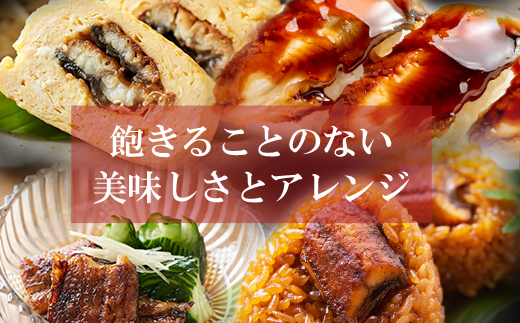 国産うなぎ蒲焼大サイズ6尾（計1000g以上）鰻蒲焼用タレ・山椒付 うなぎ生産量日本一鹿児島県産・宮崎県産・熊本県産