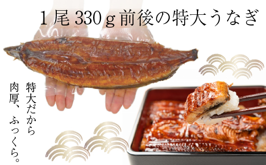 老舗たちばな　超特大鰻蒲焼（330g前後）×4尾