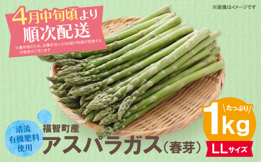 清流・自然栽培 アスパラガス(春芽) 1kg(LL)