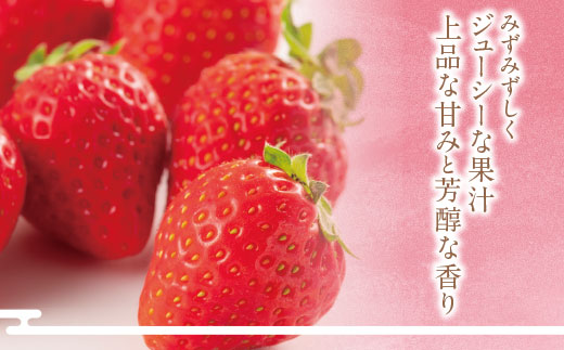 あまおう 苺 （4パック) 合計1,120g アルギット農業 イチゴ いちご あまおう苺 自然農法 フルーツ 果物 福岡県産 福智町産 送料無料