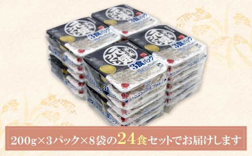 無菌包装米飯　福岡県産 元気つくし24パック定期便(隔月・年6回)