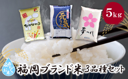 研ぐお米 福岡ブランド米3品種セット(各5kg) 精米 米 コメ 5kg×3 品種 いろいろ 3種 15kg 箱入り 福岡 夢つくし ひのひかり 元気つくし 元気づくし お裾分け セット 手軽 リピート 日時指定 ギフト お中元 お歳暮