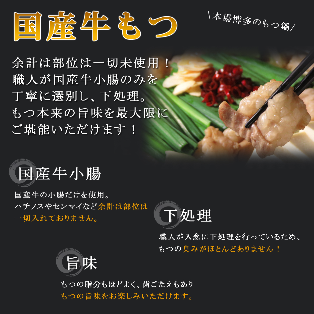【訳あり】トメ子精肉店 もつ鍋4種　各2〜3人前 食べ比べ 10人前