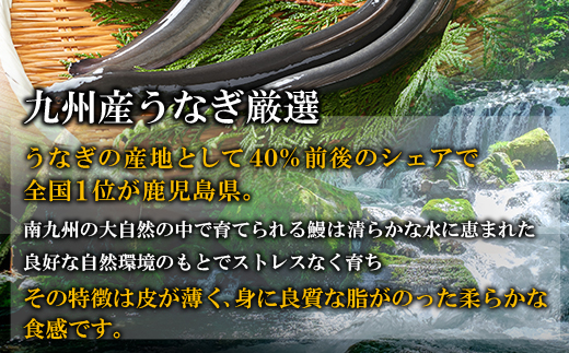 国産うなぎ蒲焼大サイズ6尾（計1000g以上）鰻蒲焼用タレ・山椒付 うなぎ生産量日本一鹿児島県産・宮崎県産・熊本県産
