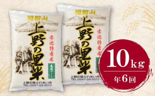 上野の里米 元気つくし10kg定期便(隔月・年6回)