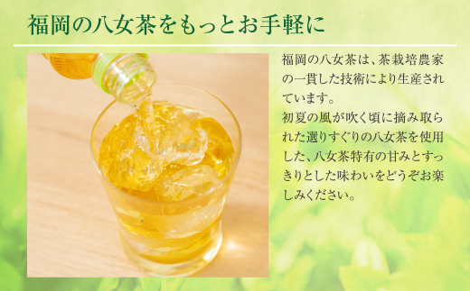 福岡の八女茶 煎茶ペットボトル(24本)定期便(隔月×3回)