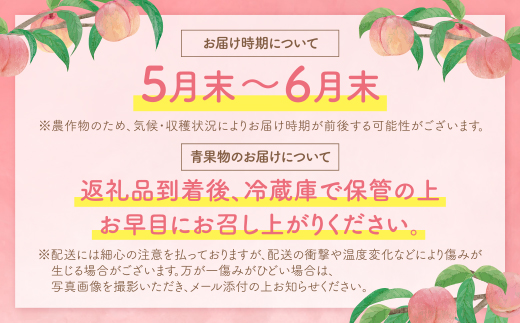 2025年発送 ハウス桃 さくひめ 約2kg 桃 もも モモ 福岡県 福智町産 さくひめ 果実 果物 くだもの フルーツ 産地直送 先行予約 送料無料 《 予約受付 》【2025年5月末～2025年6月末発送予定】