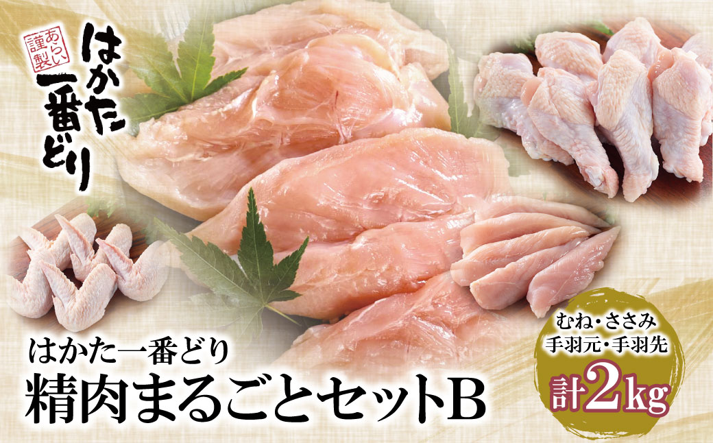 【3月31日で受付終了】はかた一番どり 精肉まるごとセットB