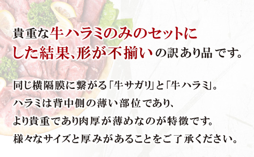 訳あり 牛ハラミ肉(旨辛、ねぎ塩) 1.2kg