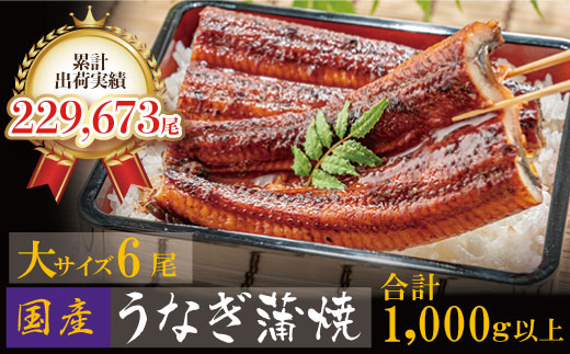 累計販売数229,673件突破  国産うなぎ蒲焼大サイズ6尾（計1000g以上）鰻蒲焼用タレ・山椒付 うなぎ生産量日本一鹿児島県産・宮崎県産・熊本県産