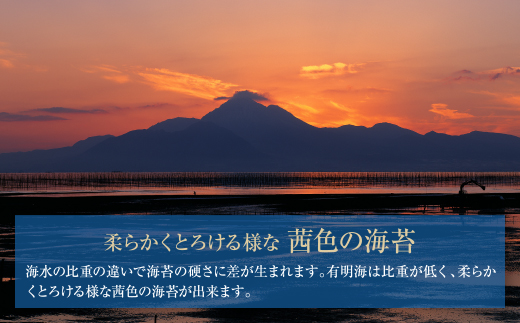 有明海産　焼き海苔　ボトル4本　10切100枚×4本　計400枚