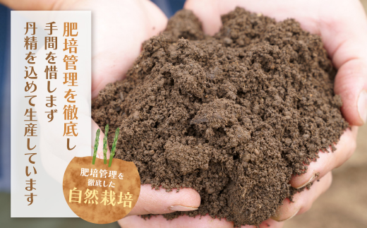 清流・自然栽培 アスパラガス(春芽) 1kg(LL)