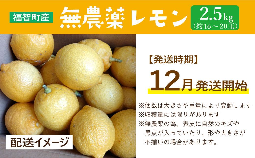 福智町産 無農薬 レモン 2.5kg (約16～20個) 