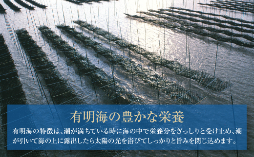 有明海産　焼き海苔　ボトル4本　10切100枚×4本　計400枚