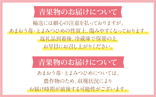 福智デザート定期便（隔月・年6回）