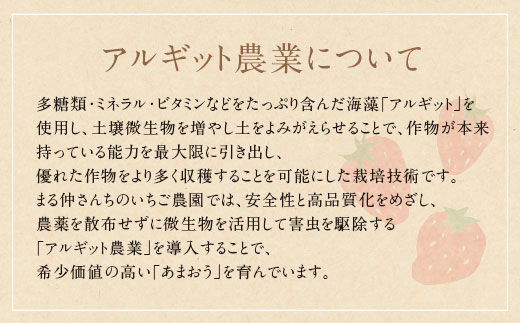 あまおう 苺 （4パック) 合計1,120g アルギット農業 イチゴ いちご あまおう苺 自然農法 フルーツ 果物 福岡県産 福智町産 送料無料