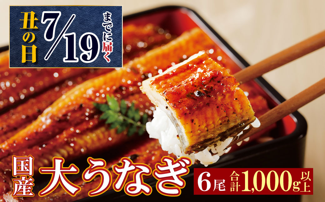 丑の日前日までにお届け！ 累計販売数229,673件突破  国産うなぎ蒲焼大サイズ6尾（計1000g以上）鰻蒲焼用タレ・山椒付 うなぎ生産量日本一鹿児島県産・宮崎県産・熊本県産