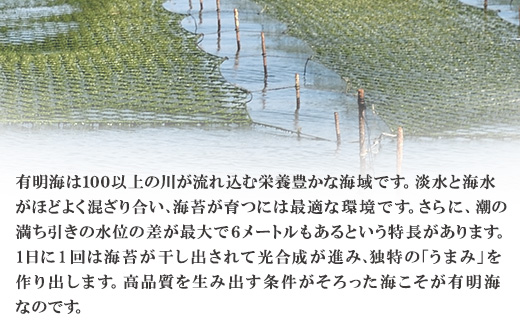 一番摘み 高級 有明海苔　50枚