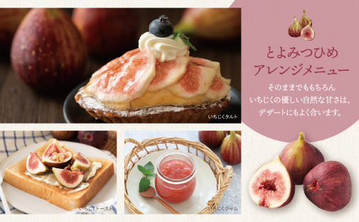 いちじく とよみつひめ 4パック（約1.2kg）福岡県限定 フルーツ 果物 くだもの【2026年7月下旬～2026年9月発送予定】