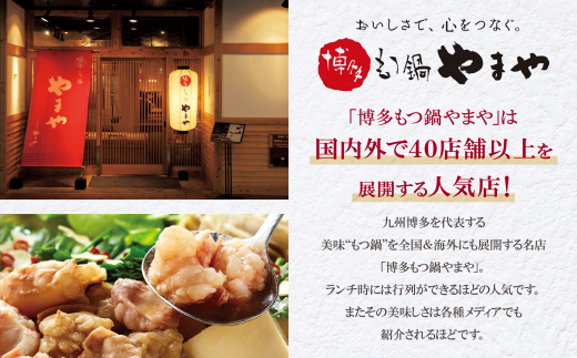 やまや 博多もつ鍋(あごだし醤油味)3～4人前