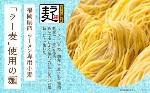 《先行予約》【4～8月発送】福岡県産ラー麦 冷し中華（坦々スープ付）