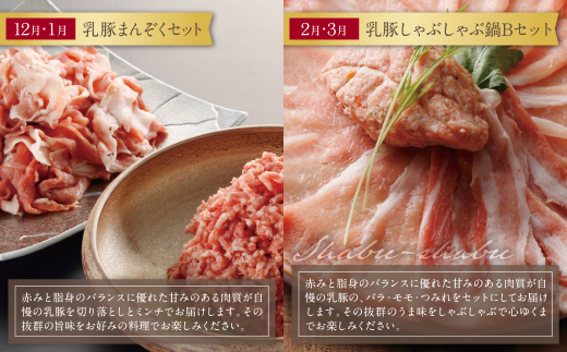 荵ウ雎壹ヰ繝ゥ繧ィ繝繧」螳壽悄萓ソ(髫疲怦繝サ蟷エ6蝗)