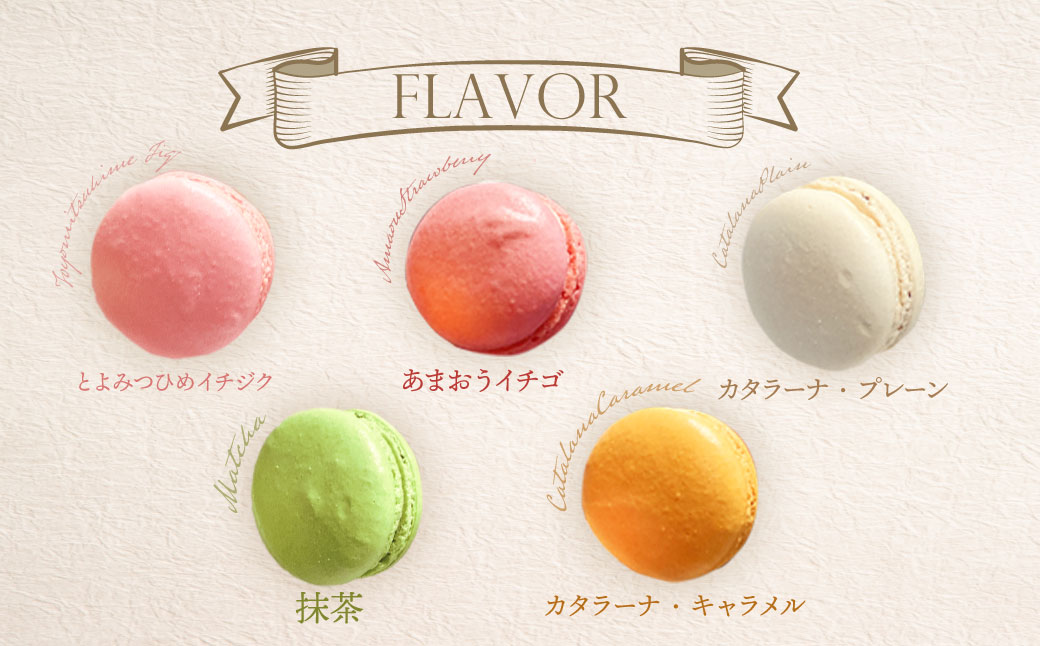 ふくち☆リッチマカロン(10個詰合せ)