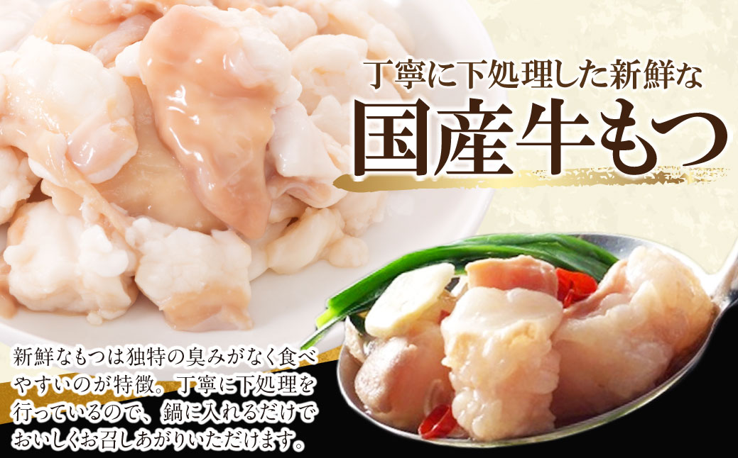 博多特選もつ鍋(10人前)(4パック小分け)(醤油味)