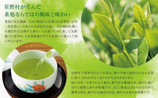 八女星野「星乃煌」(玉露・煎茶 各150g)