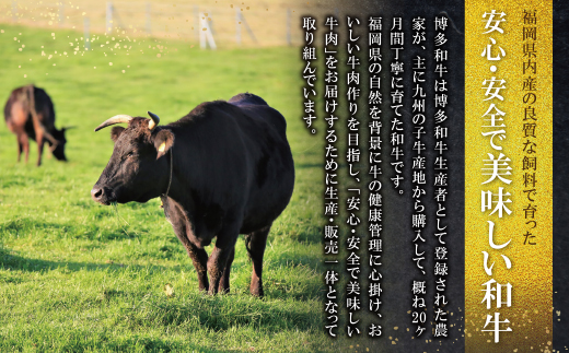 蜊壼、壼柱迚 蛻繧願誠縺ィ縺500g