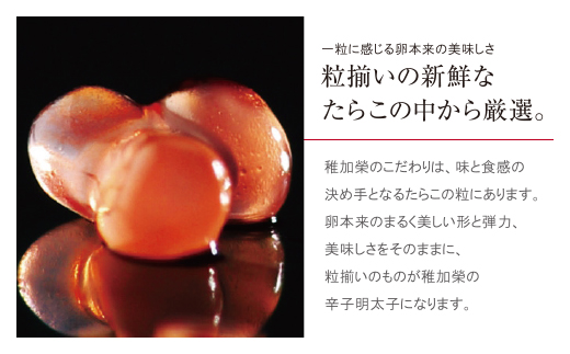 遞壼刈讎ョ 霎帛ュ先主、ェ蟄(蛹也イァ邂ア蜈・繧) 445g MA4