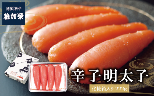 遞壼刈讎ョ 霎帛ュ先主、ェ蟄(蛹也イァ邂ア蜈・繧) 222g MA2