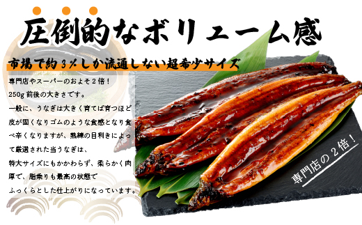 老舗たちばな　鰻蒲焼（250g前後）×4尾