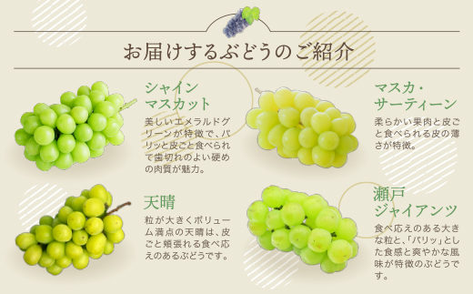 季節のぶどう3種セット 約1.5kg ぶどう 葡萄 福岡県 福智町産 ブランド 果実 送料無料 《 予約受付 》【2026年8月～2026年10月発送予定】