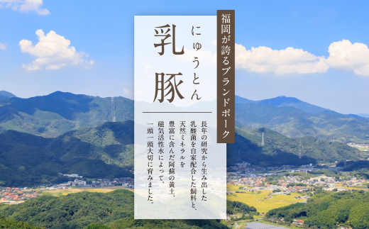 荵ウ雎 鬢蟄50蛟具シ繝。繝ウ繝√き繝15蛟九そ繝繝