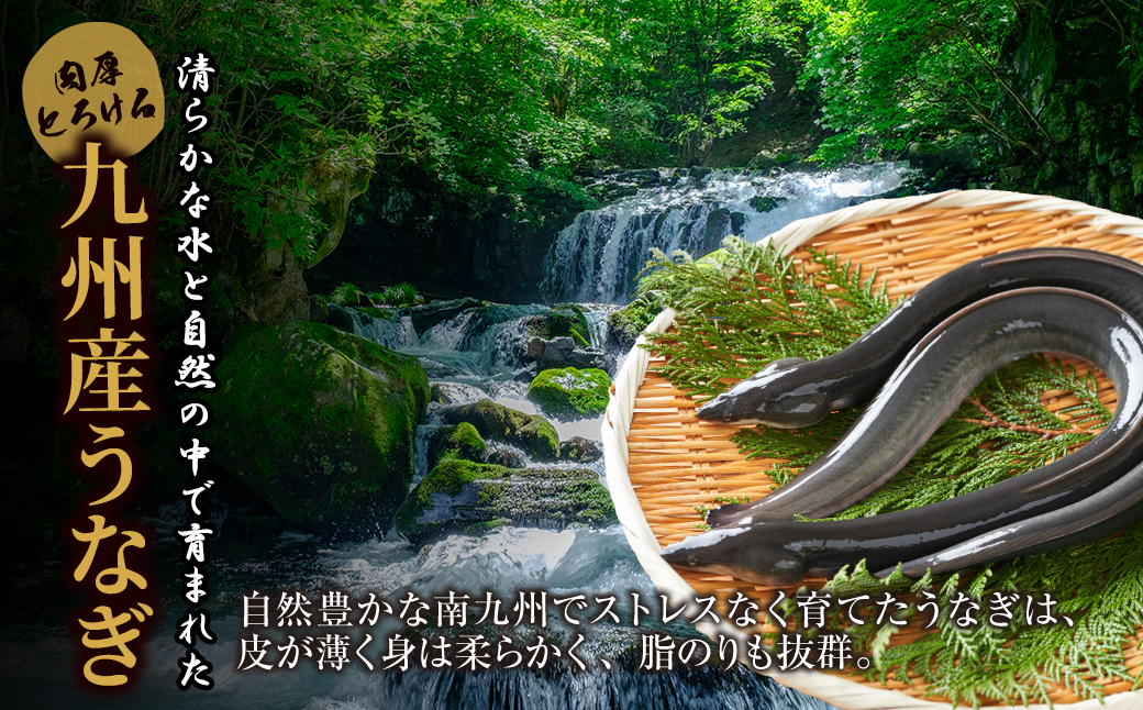 累計販売数229,673件突破  国産うなぎ蒲焼大サイズ6尾（計1000g以上）鰻蒲焼用タレ・山椒付 うなぎ生産量日本一鹿児島県産・宮崎県産・熊本県産